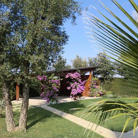B&B "Corte San Tomaso" Legnago Buitenkant foto