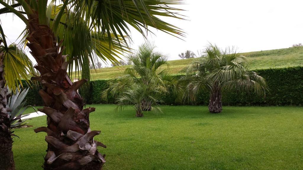 B&B "Corte San Tomaso" Legnago Buitenkant foto